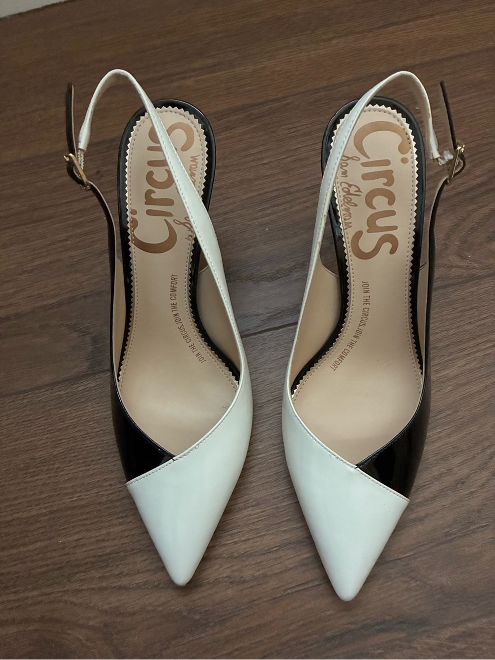 Circus by Sam Edelman Black and White Pointed Slingback Pumps
